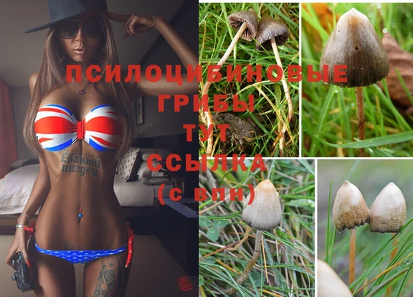 MDMA Premium VHQ Балабаново