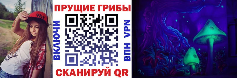 цена наркотик mega ТОР Псилоцибиновые грибы MAGIC MUSHROOMS Высоковск